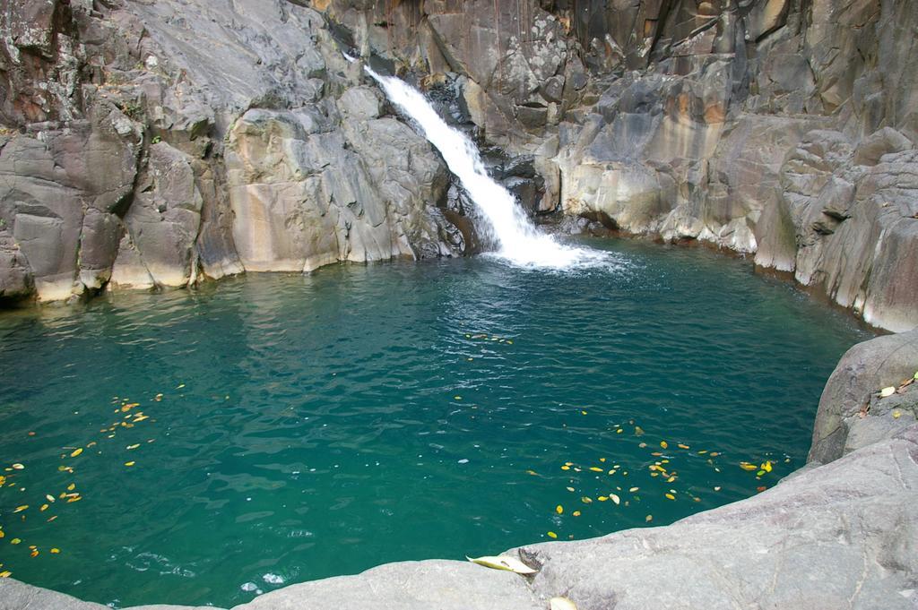 Kaz Creole Aventure Tropicale Insolite, Fibre, Jardin Et Jacuzzi Prives Сен-Франсуа Экстерьер фото