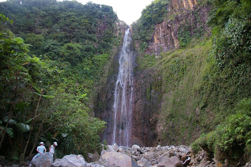 Kaz Creole Aventure Tropicale Insolite, Fibre, Jardin Et Jacuzzi Prives Сен-Франсуа Экстерьер фото