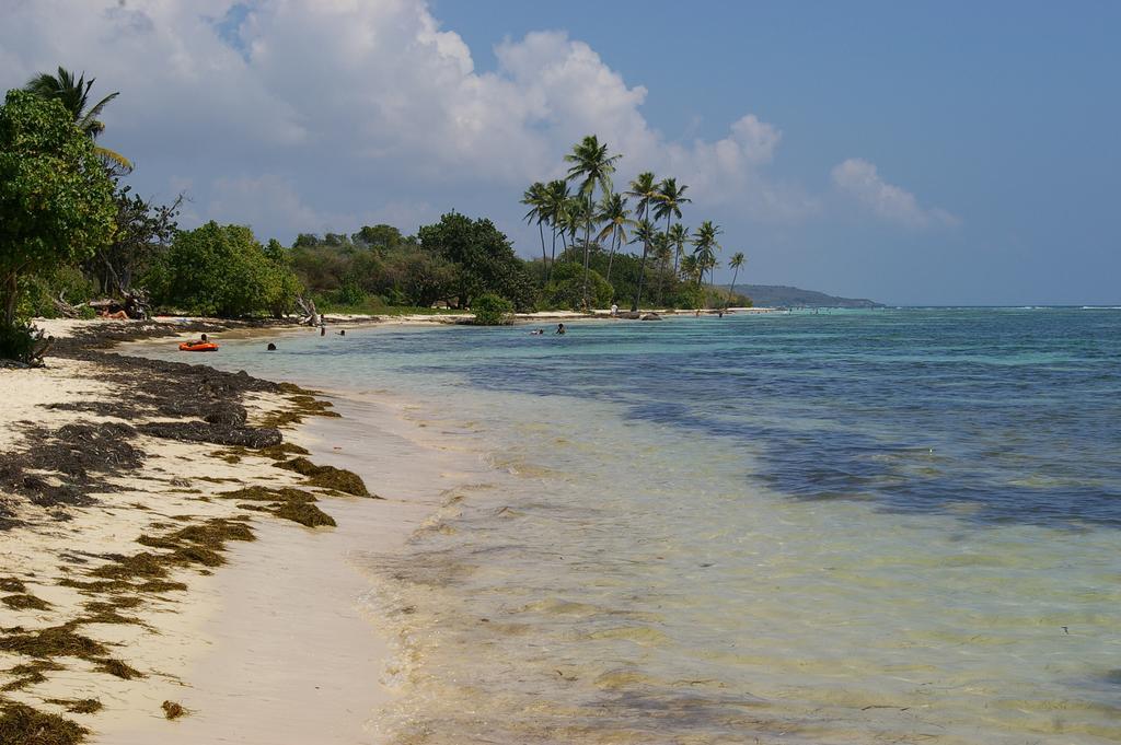 Kaz Creole Aventure Tropicale Insolite, Fibre, Jardin Et Jacuzzi Prives Сен-Франсуа Экстерьер фото