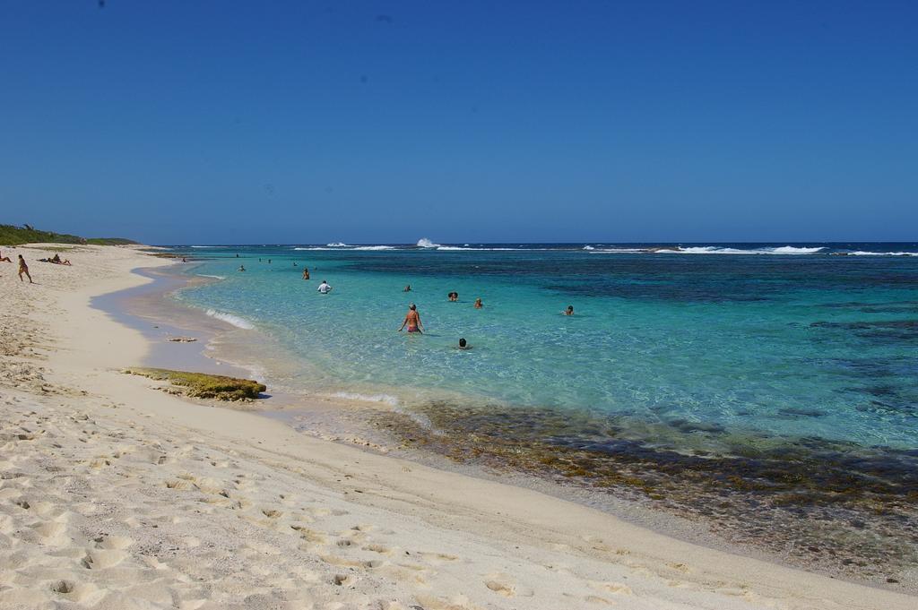 Kaz Creole Aventure Tropicale Insolite, Fibre, Jardin Et Jacuzzi Prives Сен-Франсуа Экстерьер фото