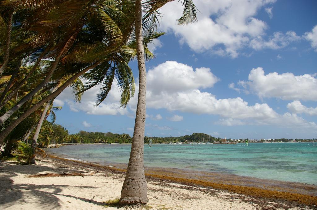 Kaz Creole Aventure Tropicale Insolite, Fibre, Jardin Et Jacuzzi Prives Сен-Франсуа Экстерьер фото