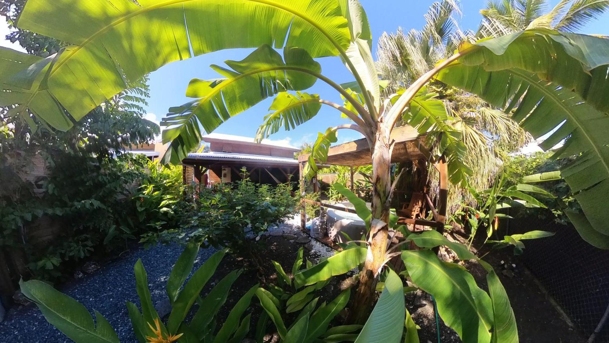 Kaz Creole Aventure Tropicale Insolite, Fibre, Jardin Et Jacuzzi Prives Сен-Франсуа Экстерьер фото