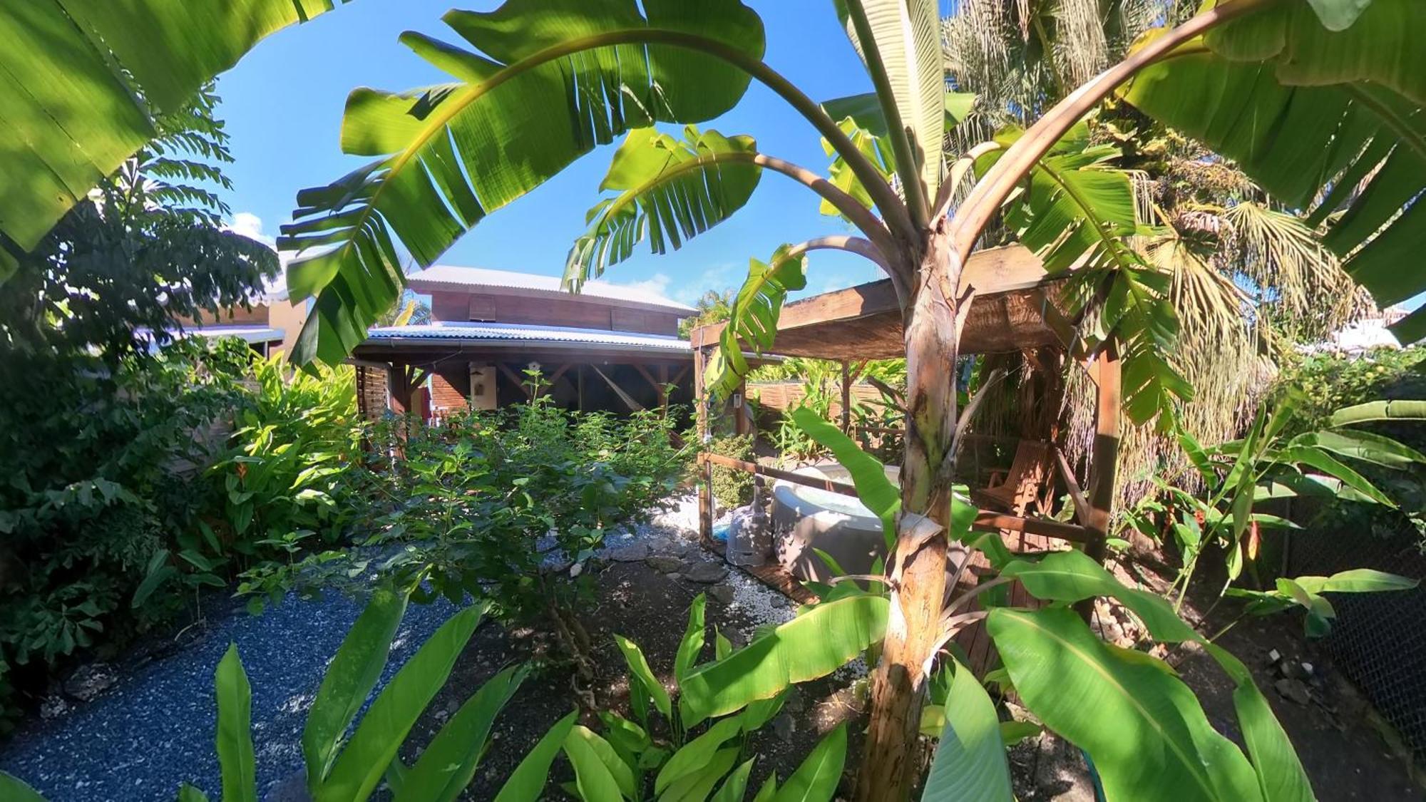 Kaz Creole Aventure Tropicale Insolite, Fibre, Jardin Et Jacuzzi Prives Сен-Франсуа Экстерьер фото